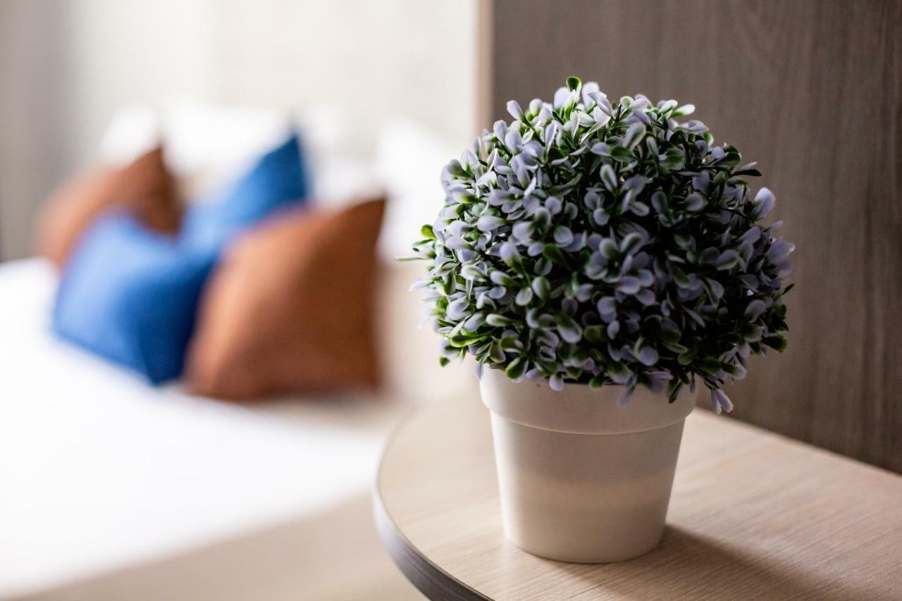 Alfa Apartments Kniazia Romana 11 リヴィウ エクステリア 写真